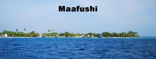 Maafushi - menu bar